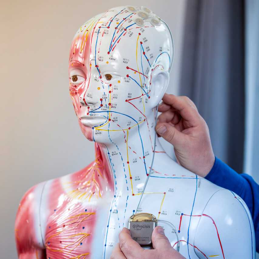Modell der menschlichen Akupunkturpunkte
